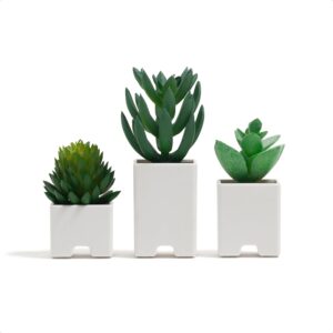 U Brands Succulent Cable Organizer ...