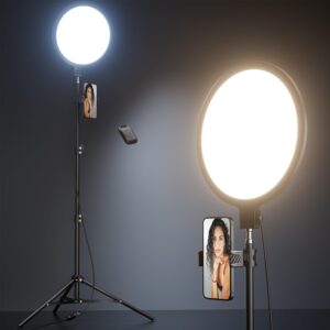 Weilisi 10.5″ Ring Light with...