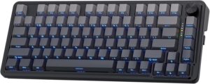 Redragon K673 GB 75% Wireless Gaske...