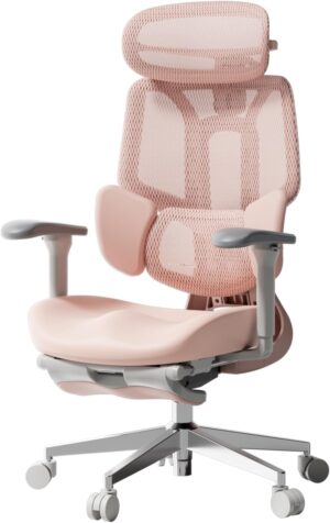 Hbada E3 Air Ergonomic Office Chair...