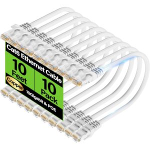 Cat6 Ethernet Cable 10Gbps 10 ft (1...