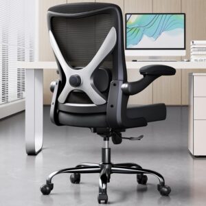 Ergalithic Ergonomic Office Chair &...