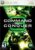 Command & Conquer 3: Tiberium Wars – Xbox 360 (Renewed)