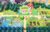 Pokémon Pokopia Standard – Nintendo Switch 2 [Digital Code]